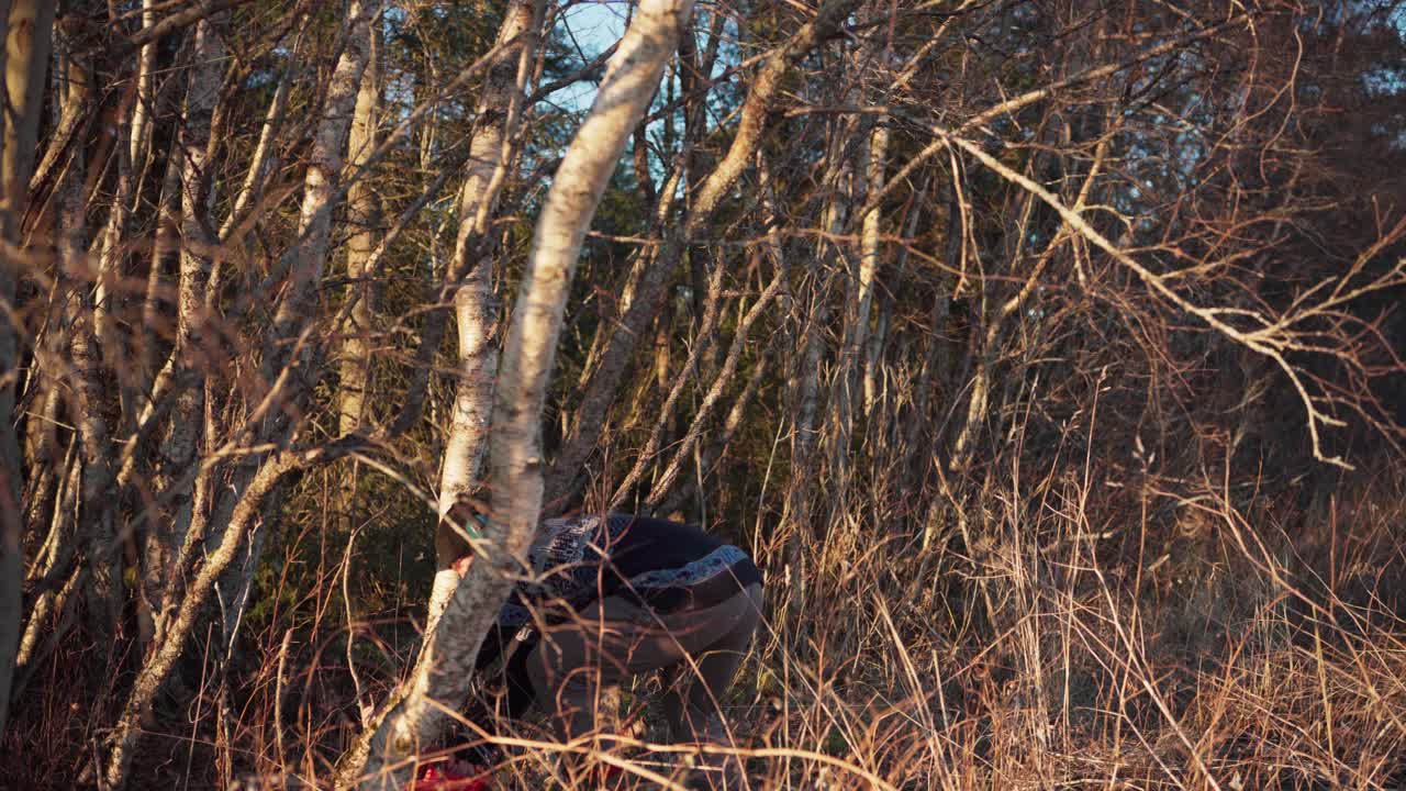 A Man is Utilizing a Chainsaw to Bring Down a Tree - Static Shot