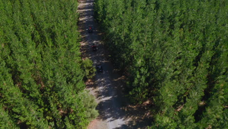 aerial drone view of atv quads, on a dirt trail, in forests of south australia