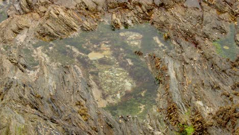 Tiro-Superior-De-La-Piscina-De-Roca-Con-Algas