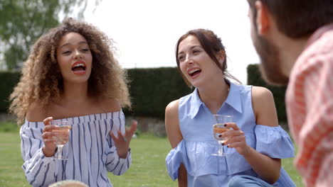 adult friends talking at a picnic on a breezy day, close up