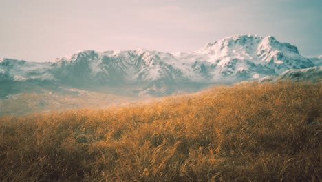 dry grass and snow covered mountains in alaska