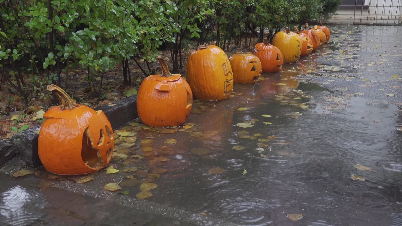 Halloween pumpkins on pavement in autumn heavy rain