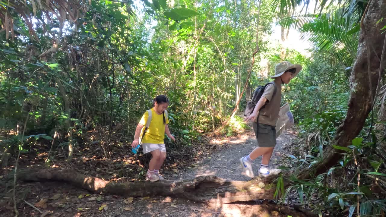 A father and young daughter hike along a sunlit forest trail in Thailand's lush jungle