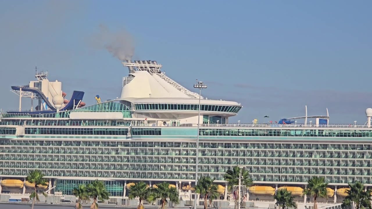 Bredt skud af et stort luksuskrydstogtskib med hundredvis af balkonkahytter, dokket ved Port Everglades i Florida, USA, med palmer i forgrunden