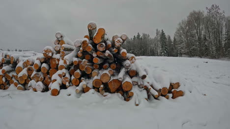 cut timber log wood pile covered in snow outside in winter landscape