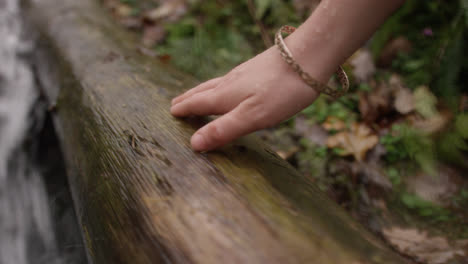 hand touching log in wooded area by stream