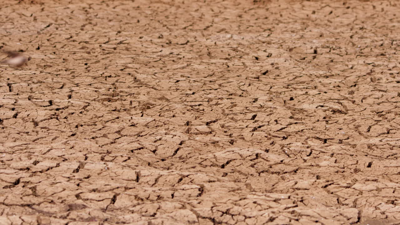 Wide pan shot of cracked dry mud during a hot afternoon in Kenya