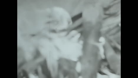 man leaning against wall in black and white video from soviet union archive. circa ussr 1980s: a video capturing a man in the soviet union leaning against a wall, showcasing a glimpse into everyday life during socialism.