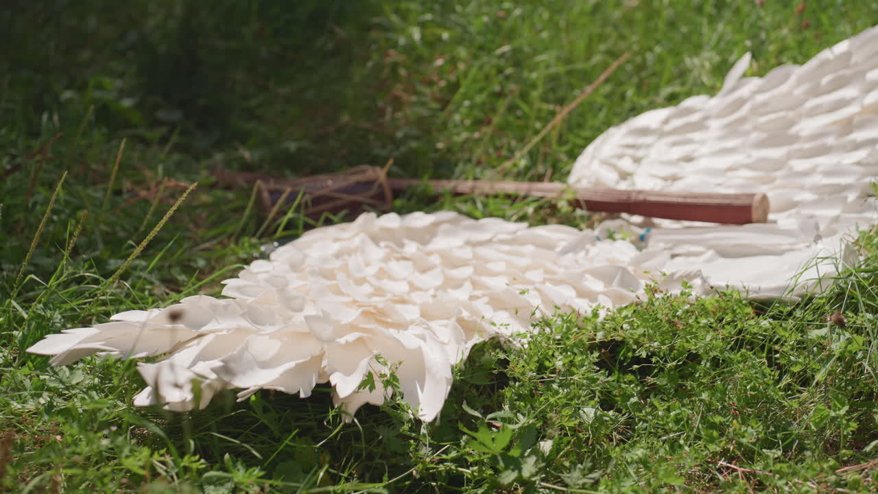 Celestial wing resting on fresh grass with wooden staff across feathers under gentle sunlight, symbolizing purity, power, and divine presence within peaceful nature