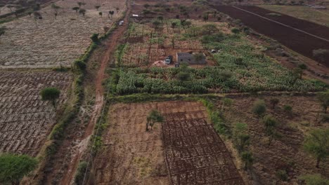 Drone-En-Granjas-Rurales-De-Kenia