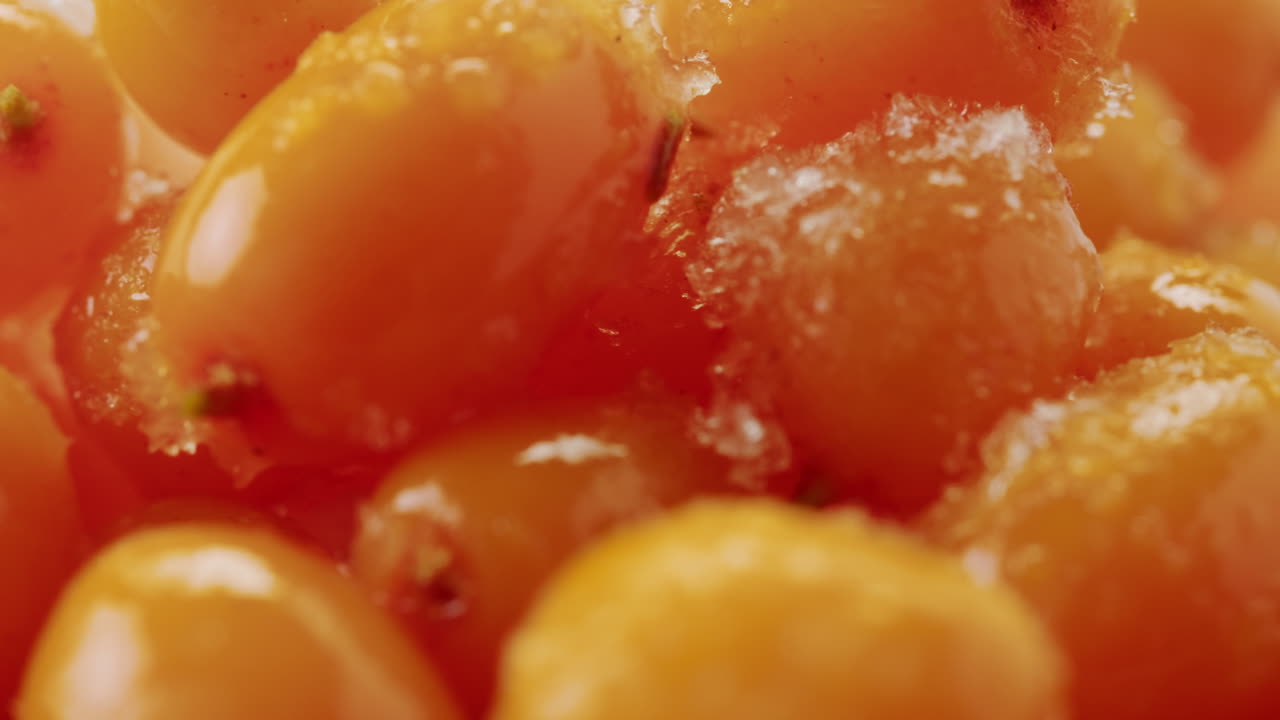 해바라기 건강한 베리 차 음료, 유리 항아리 및 잎을 가진 가지에 얼어붙은 익은 베리 어두운 나무 농촌 배경에  뷰, 피부, 심장, 혈관 및 면역 체계에 훌륭합니다.