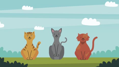 group of cats pets animation