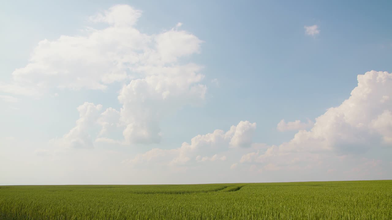 구름 timelaps에 대한 밀밭