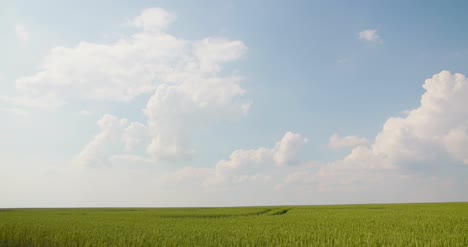 Campo-De-Trigo-Contra-Nubes-Timelaps