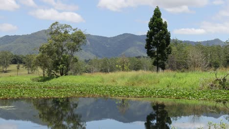 a vibrant scene showcasing lush greenery, a reflective pond, and distant mountains under a clear sky.