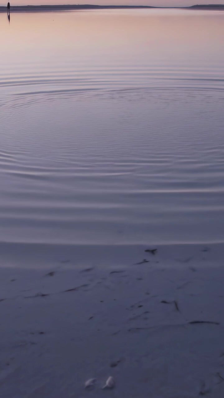 Vertical video: Following disturbance, water forming concentric ripples on sandy shoreline at dusk