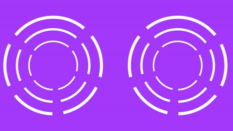 circle rotation split pop animation motion graphics
