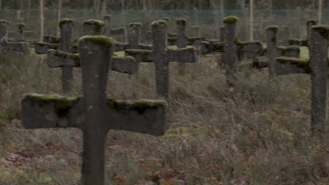 cierre la cacerola sobre viejas lápidas en el cementerio cubierto de malezas