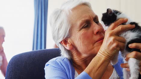 Senior-women-holding-kitten-while-sitting-on-armchair-at-retirement-home-4k