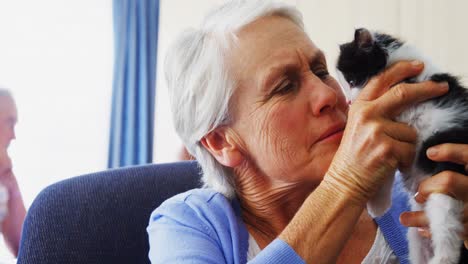senior women holding kitten while sitting on armchair at retirement home 4k