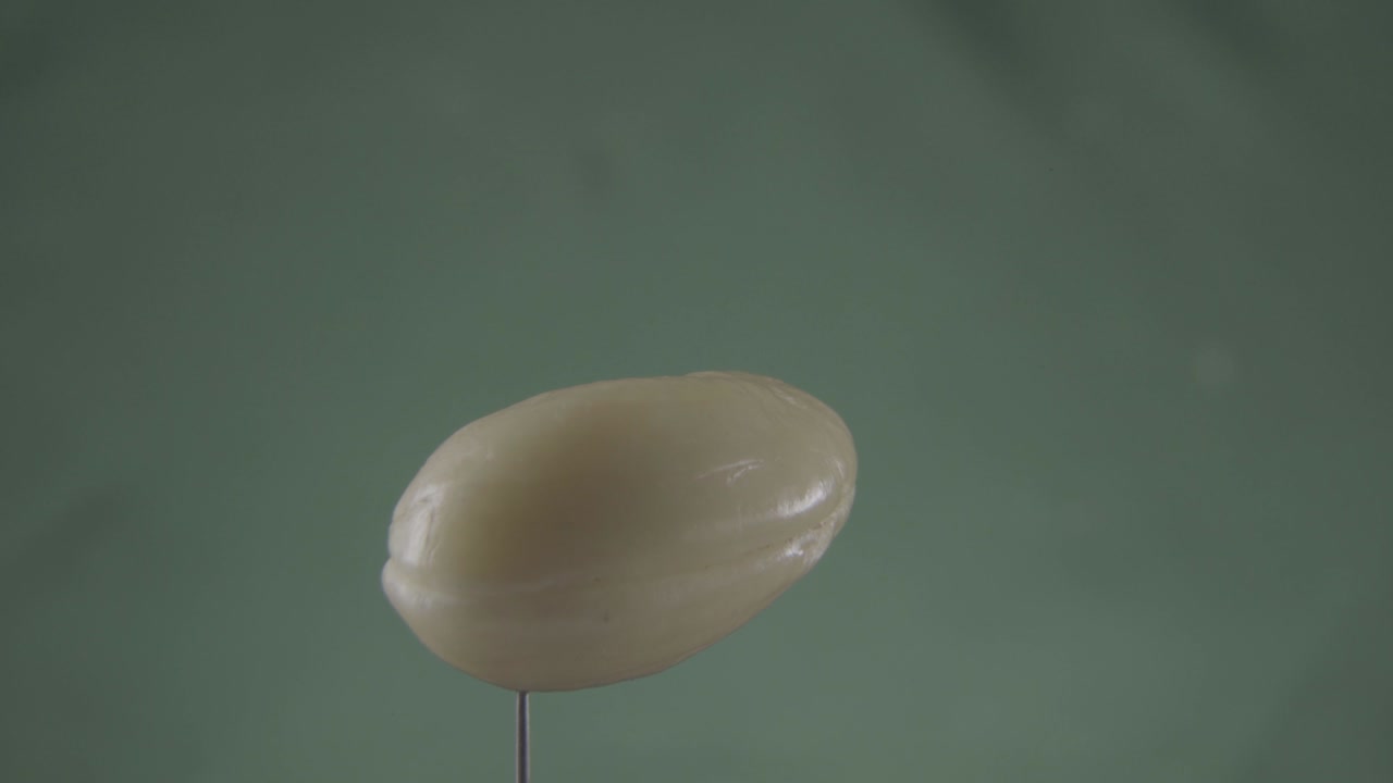 caju girando con bucle en la pantalla verde para la llave de croma