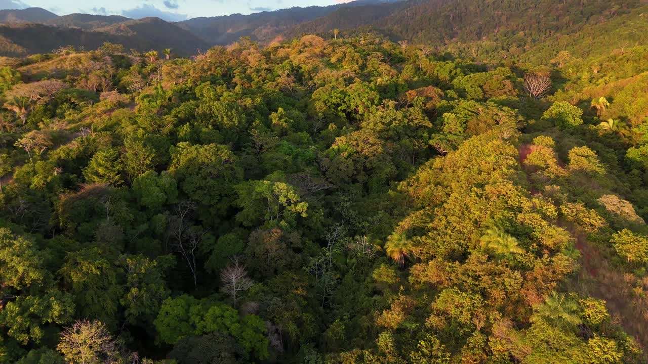 imágenes aéreas de drones de jaco costa rica selva costera árboles jungla américa central