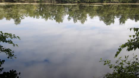 Wide-shot-Sparham-Pools-lake,-Nature-reserve-looking-west-on-to-the-lake