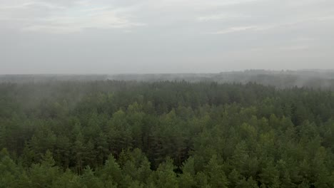 Langsamer-Drohnenflug-über-Einem-Nebligen-Wald