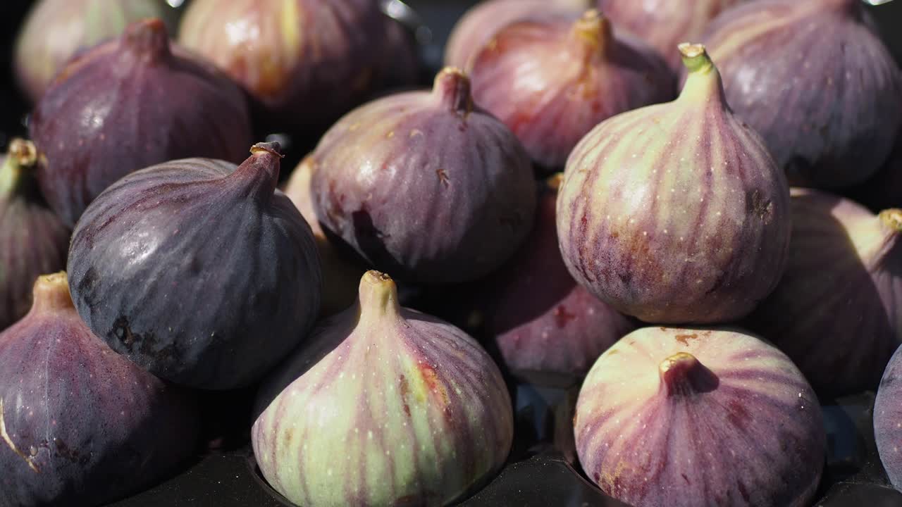 신선한 무화과 어리 근처