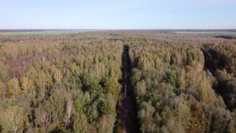 aerial top down view of gravel road in forest in the autumn, misty morning