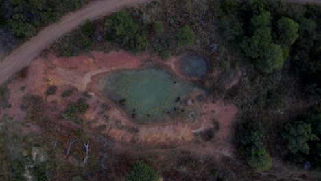 Granja-De-Estanques-Sudafricana-En-La-Reserva-Natural-De-Rooiberg,-Aérea-De-Arriba-Hacia-Abajo