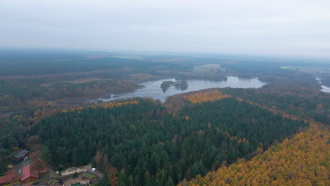 Vista-Aérea-De-Pinos-Verdes-Y-árboles-Otoñales-En-El-Bosque-Cerca-De-Thulsfelder-Stausee-En-Alemania