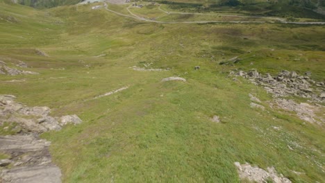 Fast-FPV-Aerial-Diving-Down-Steep-Craggy-Hillside-Towards-Silvretta-Stausee-Valley-Floor