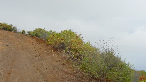 A-panning-shot-of-the-hiking-path-in-the-Valley-of-Guimar-on-the-Canary-Island-of-Tenerife