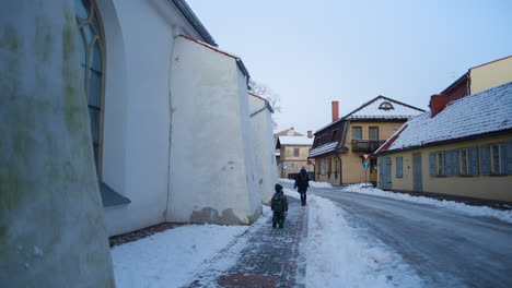 Vidzeme-De-Letonia-En-El-Mes-De-Enero