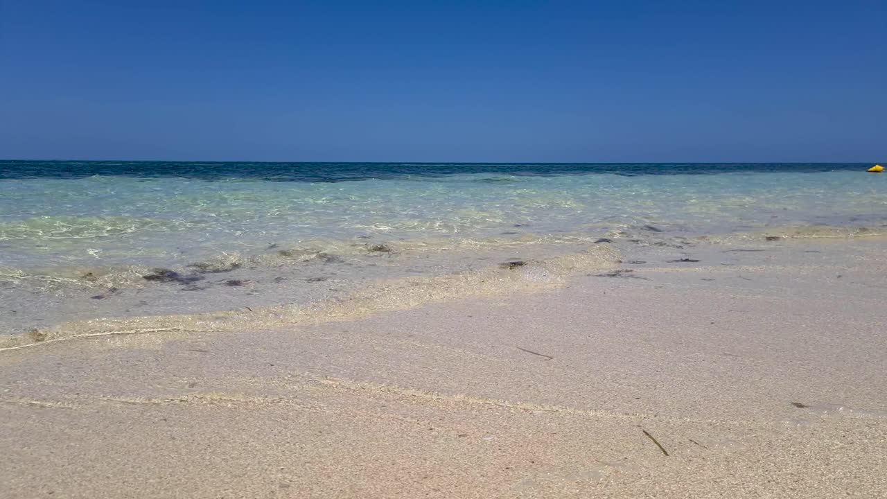 해변에 부드럽게 부서지는 파도