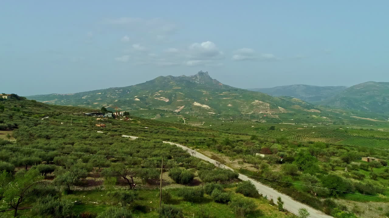 Panoramica aerea su verdi terreni agricoli con coltivazioni di olive e arance in Sicilia, Italia, su un terreno collinare in una giornata di sole lungo una strada tortuosa