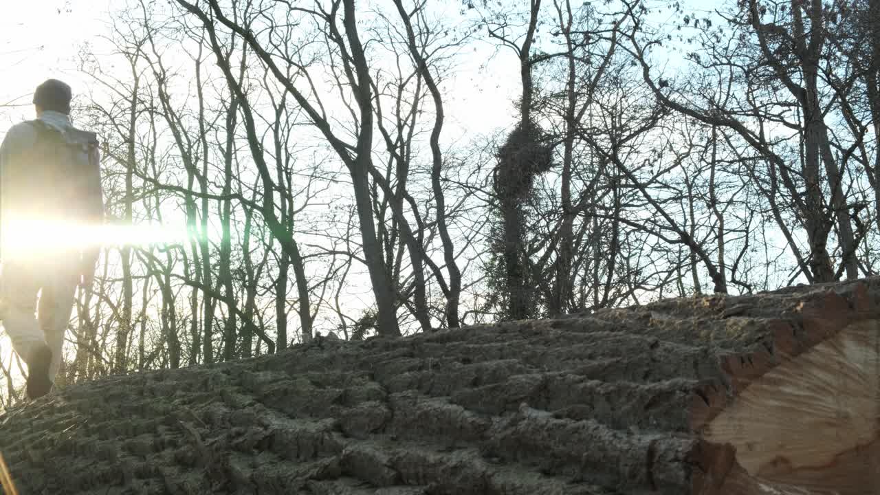 Lovely Summer&rsquo;s morning adult male walking across broken wooden log
