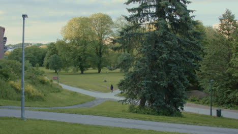 Person-walking-through-a-park-in-Oslo-on-a-bright-summer-day