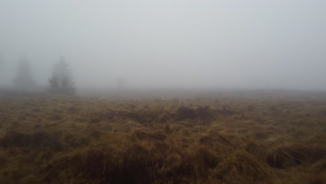 dangerous low altitude fly over misty marshland with puddles on foggy day