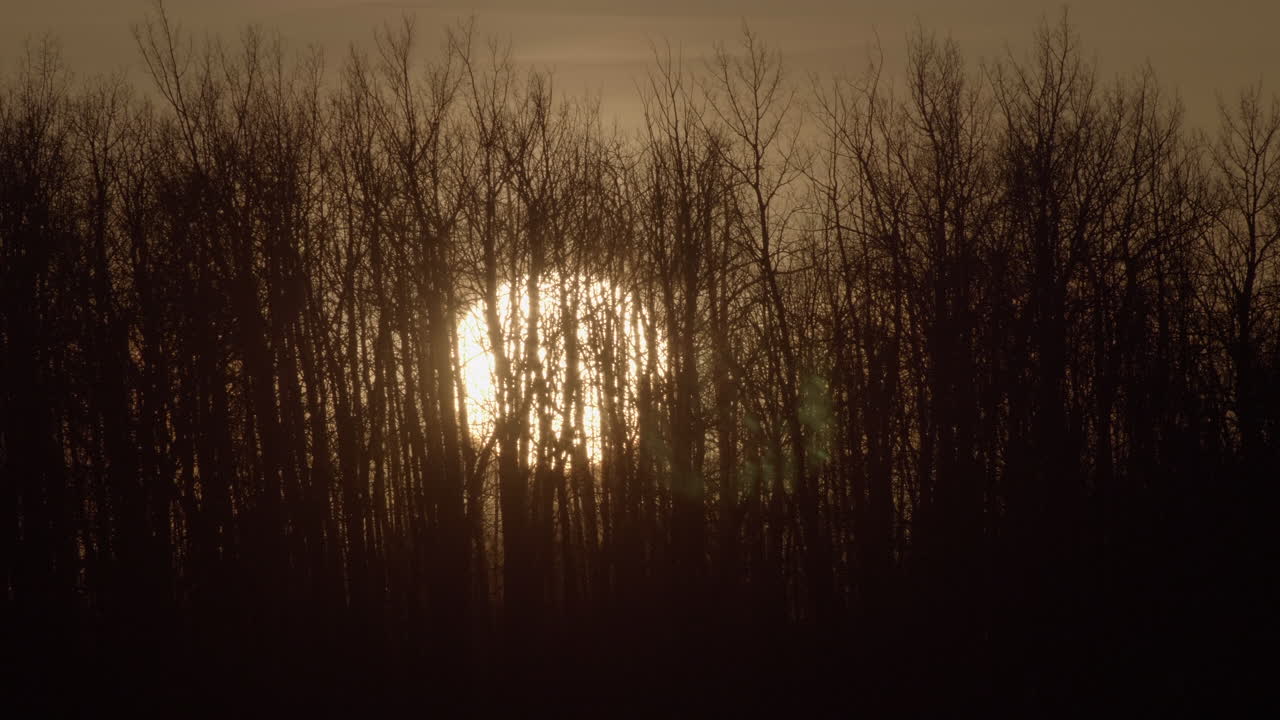Kaunis syksyinen auringonlasku puiden takana -laajakuva