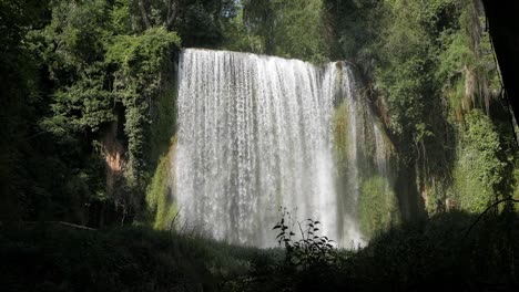 beautiful movie like cataract waterfall surrounded by vegetation. perfect water curtain plunge. bright sunlight and contrast shadow on bottom. jungle or rainforest scenery