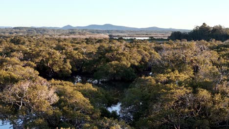 una vista de un bosque con un lago en el medio y montañas en la distancia, escena impresionante, vista ecológica