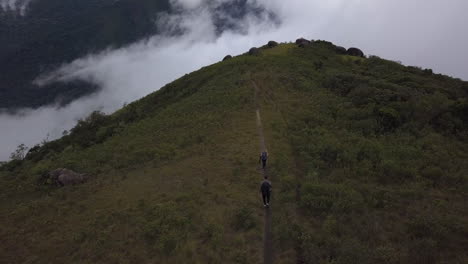 Aerial---Couple-of-hikers-walking-on-a-atlantic-forest-mountain-in-Rio-de-Janeiro,-Brazil