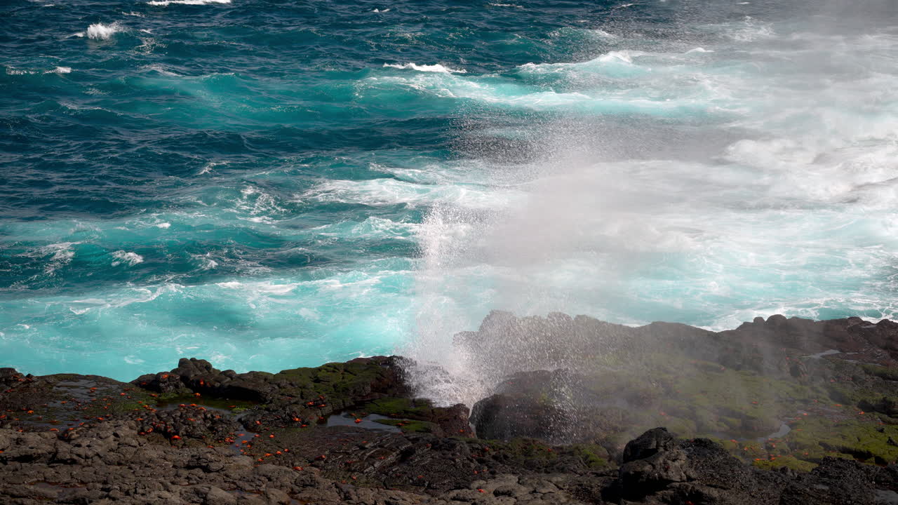 aguas turquesas del océano rociando a través del agujero de soplado en la costa rocosa de punta suárez en galápagos