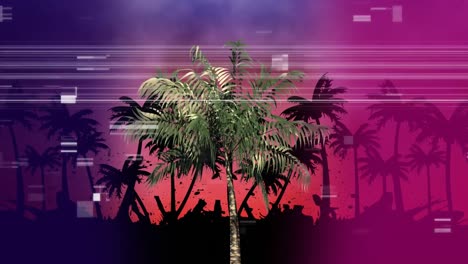 Palm-tree-with-other-palms-in-the-shade-while-virtual-square-sizzling-like-pixels-on-foreground-