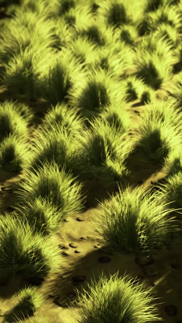 Erba verde cresce in un campo sotto la luce del sole di giorno, nella natura.