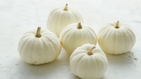 pequeñas calabazas blancas sobre la mesa