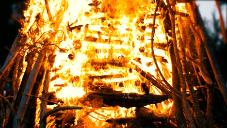 una gran fogata de ramas que arde por la noche en el bosque
