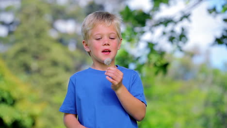 Boy-blowing-a-dandelion-and-smiling